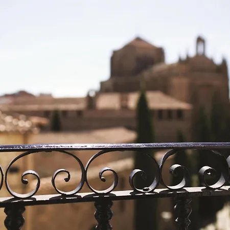 Nh Collection Palacio De Castellanos